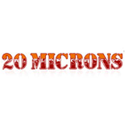 20 Microns Share Price