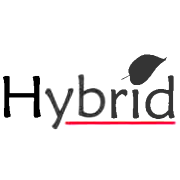 Hybrid Financial Services Ltd