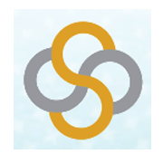 Bhagyanagar India Ltd