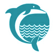Dolphin Offshore