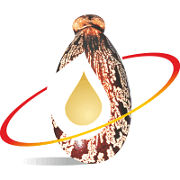 Jayant Agro Org.