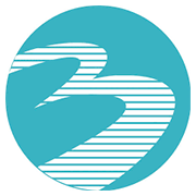 Bannari Amman Spinning Mills Ltd