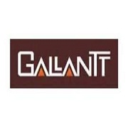 Gallantt Ispat L