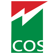 Cospower Engineering Share Price