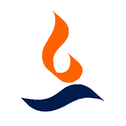 Max India Ltd