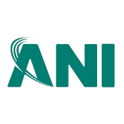 Ani Integrated Services Share Price