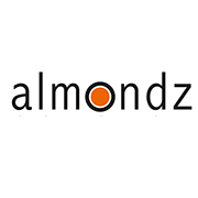 Almondz Global Securities Share Price