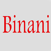 Binani Industries Share Price