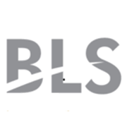 Bls International Services Share Price