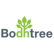Bodhtree Consulting Share Price