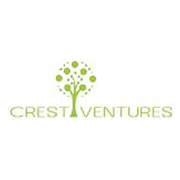 Crest Ventures Share Price