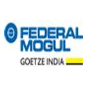 Federal-Mogul Goetze (India) Share Price