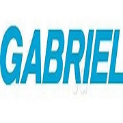 Gabriel India Share Price