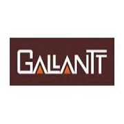 Gallantt Ispat Share Price