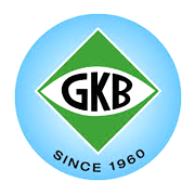 Gkb Ophthalmics Share Price