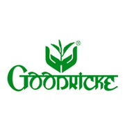 Goodricke Group Share Price