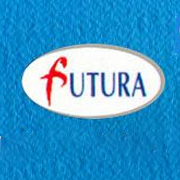 Futura Polyesters Share Price