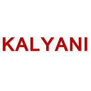 Kalyani Commercials Share Price