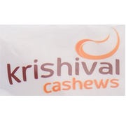 Krishival Foods Share Price