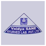 Vaidya Sane Ayurved Laboratories Share Price