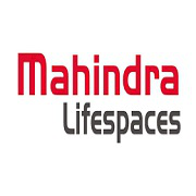 Mahindra Lifespace Developers Share Price