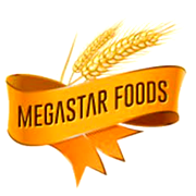 Megastar Foods Share Price