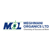 Meghmani Organics Share Price