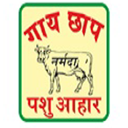 Narmada Agrobase Share Price