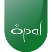 Opal Luxury Time Products Share Price