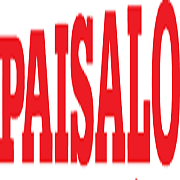 Paisalo Digital Share Price