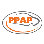 Ppap Automotive Share Price