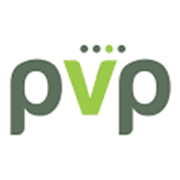 Pvp Ventures Share Price
