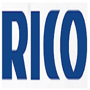Rico Auto Industries Share Price