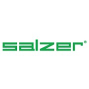 Salzer Electronics Share Price