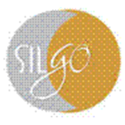 Silgo Retail Share Price