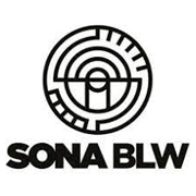 Sona Blw Precision Forgings Share Price