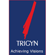 Trigyn Technologies Share Price