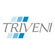 Triveni Glass Share Price