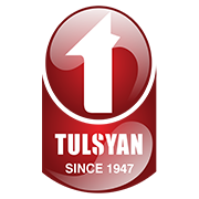 Tulsyan Nec Share Price