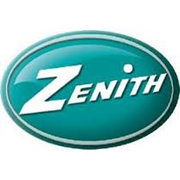 Zenith Computers Share Price