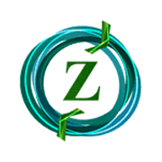 Zodiac Energy Share Price